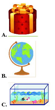 15 Bài tập trắc nghiệm Khối trụ, Khối cầu lớp 2 (có lời giải) | Toán lớp 2 Kết nối tri thức
