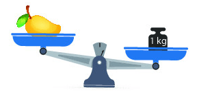 16 Bài tập trắc nghiệm Ki-lô-gam lớp 2 (có lời giải) | Toán lớp 2 Kết nối tri thức