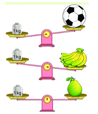 16 Bài tập trắc nghiệm Ki-lô-gam lớp 2 (có lời giải) | Toán lớp 2 Kết nối tri thức