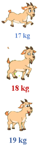 17 Bài tập trắc nghiệm Ôn tập đo lường lớp 2 (có lời giải) | Toán lớp 2 Kết nối tri thức