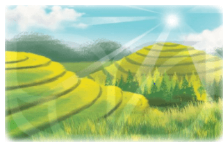 21 Bài tập trắc nghiệm Phép trừ không nhớ trong phạm vi 1000 lớp 2 (có lời giải) | Toán lớp 2 Kết nối tri thức