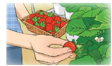 21 Bài tập trắc nghiệm Phép trừ không nhớ trong phạm vi 1000 lớp 2 (có lời giải) | Toán lớp 2 Kết nối tri thức