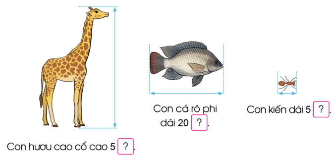 Toán lớp 3 trang 12, 13 Mi-li-mét | Cánh diều