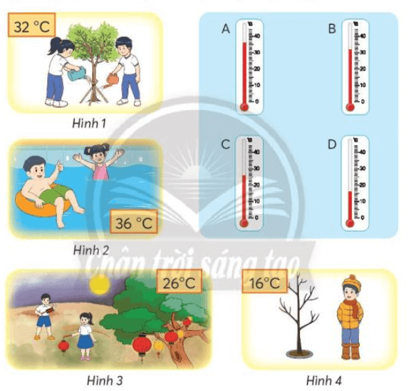 Toán lớp 3 trang 92, 93 Luyện tập | Chân trời sáng tạo