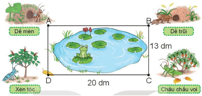 Toán lớp 3 trang 60 Bài 19 Luyện tập | Kết nối tri thức