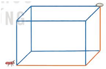 Toán lớp 3 trang 64 Bài 21 Luyện tập | Kết nối tri thức