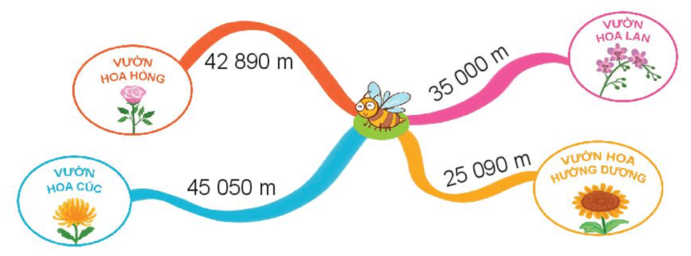Toán lớp 3 Bài 62: Luyện tập chung (trang 66, 67, 68, 69 Tập 2) | Kết nối tri thức