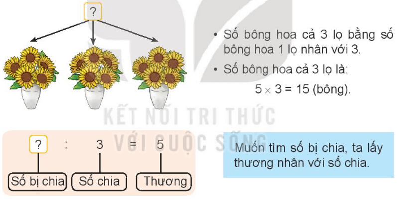 Toán lớp 3 trang 40 Bài 13 Khám phá | Kết nối tri thức