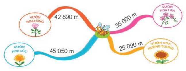 Toán lớp 3 trang 66, 67 Tập 2 Bài 62 Luyện tập | Kết nối tri thức