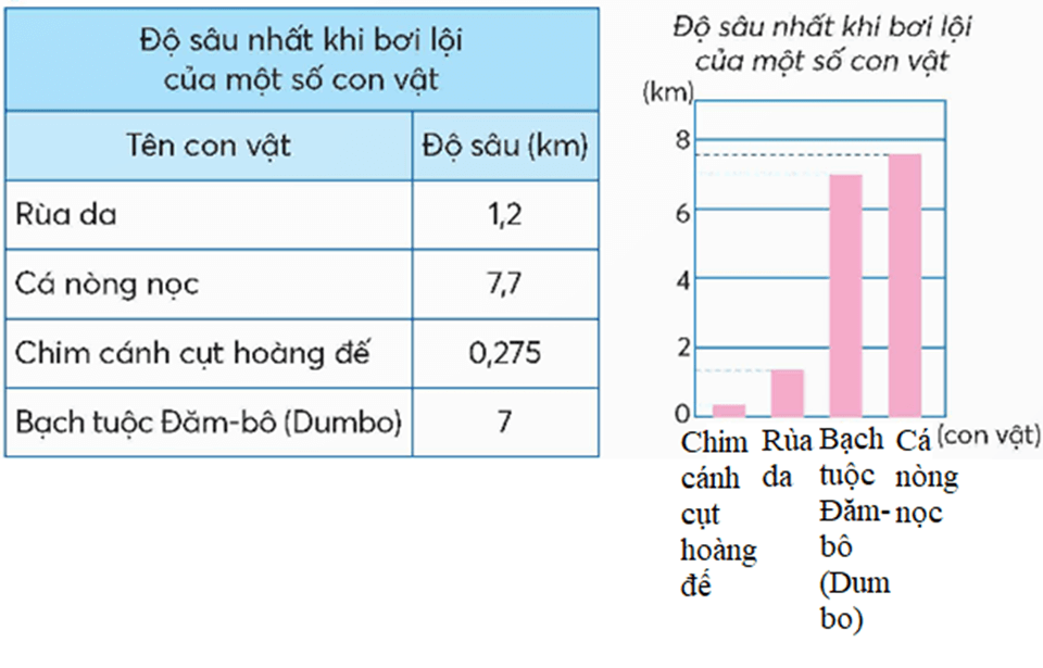 Toán lớp 5 Chân trời sáng tạo Bài 23: Em làm được những gì? (trang 60) | Giải Toán lớp 5