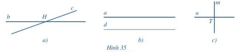 Bài 1 trang 83 Toán 6 Tập 2 Cánh diều | Giải Toán lớp 6