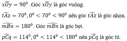 Bài 8 trang 103 Toán 6 Tập 2 Cánh diều | Giải Toán lớp 6