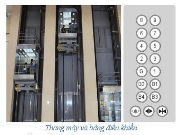 Bài 8 trang 75 Toán lớp 6 Tập 1 Cánh diều | Giải Toán 6