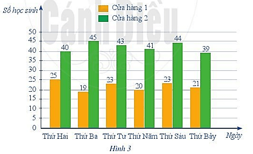 Bài 9 trang 72 Toán 6 Tập 2 Cánh diều | Giải Toán lớp 6