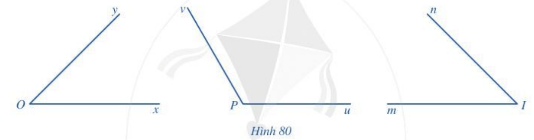 Hoạt động 4 trang 98 Toán 6 Tập 2 Cánh diều | Giải Toán lớp 6