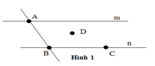 Bài tập trắc nghiệm Bài tập trắc nghiệm Điểm. Đường thẳng có đáp án | Toán lớp 6 Cánh diều