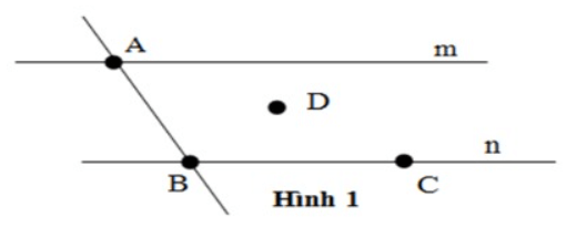 Bài tập trắc nghiệm Bài tập trắc nghiệm Điểm. Đường thẳng có đáp án | Toán lớp 6 Cánh diều