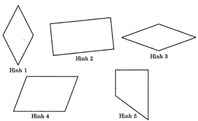 Bài tập trắc nghiệm Hình chữ nhật. Hình thoi có đáp án | Toán lớp 6 Cánh diều (ảnh 1)