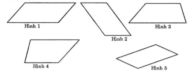 Bài tập trắc nghiệm Hình bình hành có đáp án | Toán lớp 6 Cánh diều