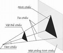 Ví dụ 1 trang 105 Toán 6 Tập 2 Cánh diều | Giải Toán lớp 6