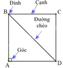 Hình vuông, Tam giác đều, Lục giác đều | Chân trời sáng tạo (ảnh 1)