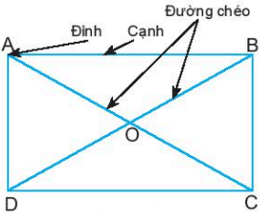 Hình chữ nhật, Hình thoi, Hình bình hành, Hình thang cân| Chân trời sáng tạo (ảnh 1)