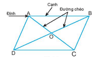 Hình chữ nhật, Hình thoi, Hình bình hành, Hình thang cân| Chân trời sáng tạo (ảnh 1)