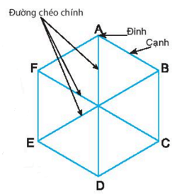 Tổng hợp lý thuyết Toán lớp 6 Chương 3 Chân trời sáng tạo