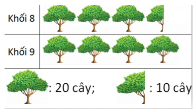 Tổng hợp lý thuyết Toán lớp 6 Chương 4 Chân trời sáng tạo