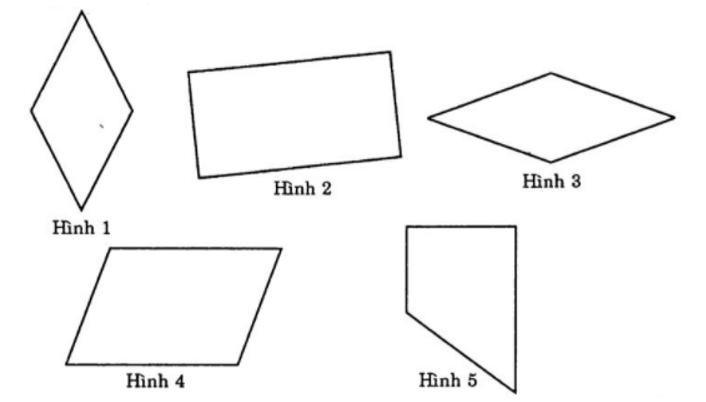 Bài tập trắc nghiệm Hình chữ nhật - Hình thoi - Hình bình hành - Hình thang cân có đáp án | Toán lớp 6 Chân trời sáng tạo