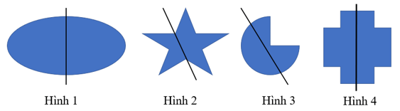 9 Bài tập trắc nghiệm Vai trò của tính đối xứng trong thế giới tự nhiên (có đáp án) | Toán lớp 6 Chân trời sáng tạo