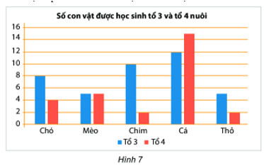 11 Bài tập trắc nghiệm Toán lớp 6 Chương 4 Chân trời sáng tạo có đáp án