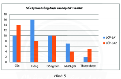 11 Bài tập trắc nghiệm Toán lớp 6 Chương 4 Chân trời sáng tạo có đáp án