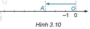 Hoạt động 1 trang 62 Toán 6 Tập 1 | Kết nối tri thức Giải Toán lớp 6