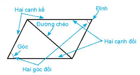 Hình chữ nhật, hình thoi, hình bình hành, hình thang cân (Lý thuyết Toán lớp 6) | Kết nối tri thức