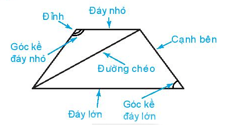 Hình chữ nhật, hình thoi, hình bình hành, hình thang cân (Lý thuyết Toán lớp 6) | Kết nối tri thức