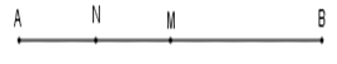Bài tập trắc nghiệm Trung điểm của đoạn thẳng có đáp án - Toán lớp 6 Kết nối tri thức (ảnh 1)
