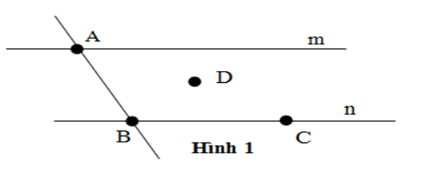 Bài tập Điểm và đường thẳng (có lời giải) | Kết nối tri thức Trắc nghiệm Toán lớp 6 (ảnh 1)