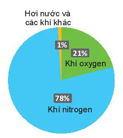 Không khí xung quanh ta gồm nhiều chất khí khác nhau