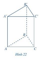 Quan sát lăng trụ đứng tam giác ở Hình 22 và đọc tên các mặt, các cạnh, các đỉnh của lăng trụ đứng tam giác đó