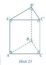 Quan sát lăng trụ đứng tam giác ABC.A'B'C' ở Hình 23 và cho biết: Đáy dưới ABC