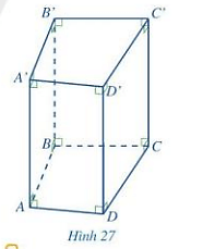 Hoạt động 6 trang 83 Toán 7 Tập 1 Cánh diều