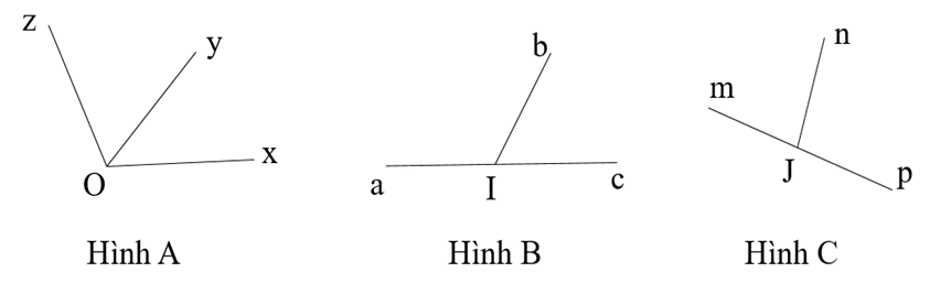 15 Bài tập Góc ở vị trí đặc biệt (có đáp án) | Cánh diều Trắc nghiệm Toán 7