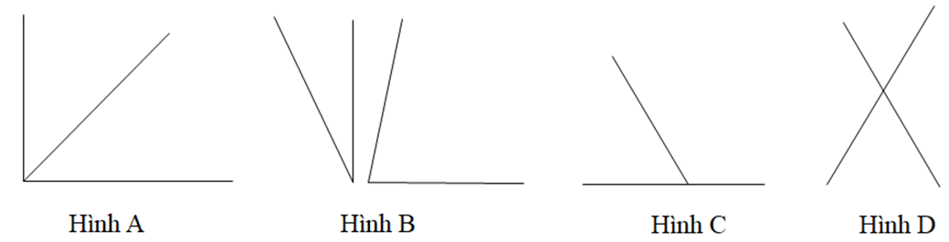 15 Bài tập Góc ở vị trí đặc biệt (có đáp án) | Cánh diều Trắc nghiệm Toán 7