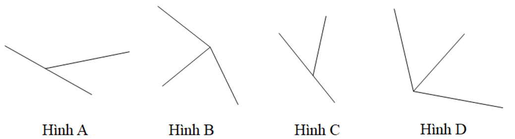 15 Bài tập Góc ở vị trí đặc biệt (có đáp án) | Cánh diều Trắc nghiệm Toán 7