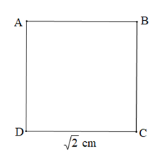 15 Bài tập Số vô tỉ. Căn bậc hai số học (Trắc nghiệm Toán lớp 7 có đáp án)