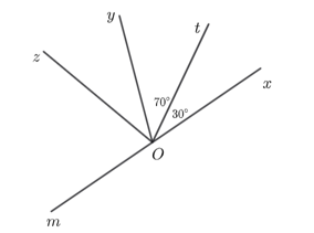 15 Bài tập Tia phân giác của một góc (có đáp án) | Cánh diều Trắc nghiệm Toán 7
