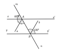 15 Bài tập Hai đường thẳng song song (có đáp án) | Cánh diều Trắc nghiệm Toán 7