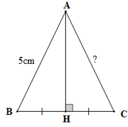 15 Bài tập Trường hợp bằng nhau thứ hai của tam giác: cạnh - góc - cạnh (có đáp án) | Cánh diều Trắc nghiệm Toán 7