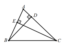 15 Bài tập Đường vuông góc và đường xiên (có đáp án) | Cánh diều Trắc nghiệm Toán 7